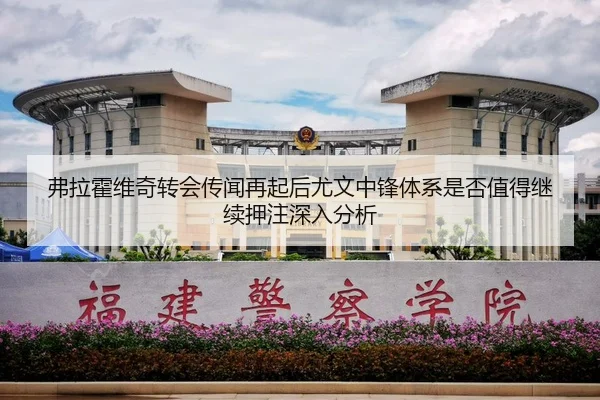弗拉霍维奇转会传闻再起后尤文中锋体系是否值得继续押注深入分析