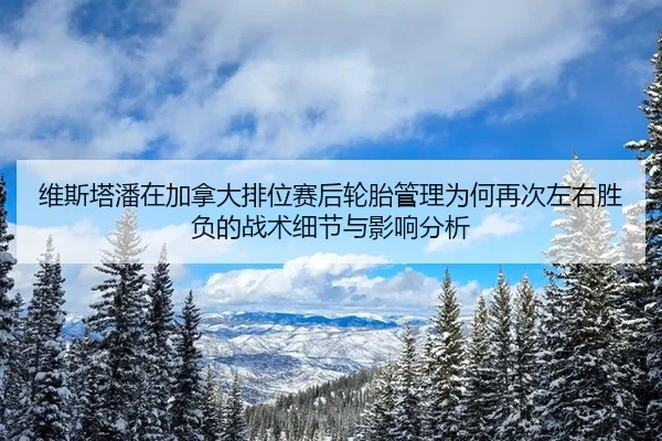 wei-si-ta-pan-zai-jia-na-da-pai-wei-sai-hou-lun-tai-guan-li-wei-he-zai-ci-zuo-you-sheng-fu-de-zhan-shu-xi-jie-yu-ying-2-694.jpg