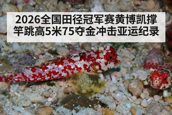 2026全国田径冠军赛黄博凯撑竿跳高5米75夺金冲击亚运纪录